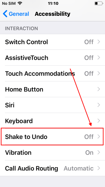 Scroll down to Interaction and tap Shake to Undo